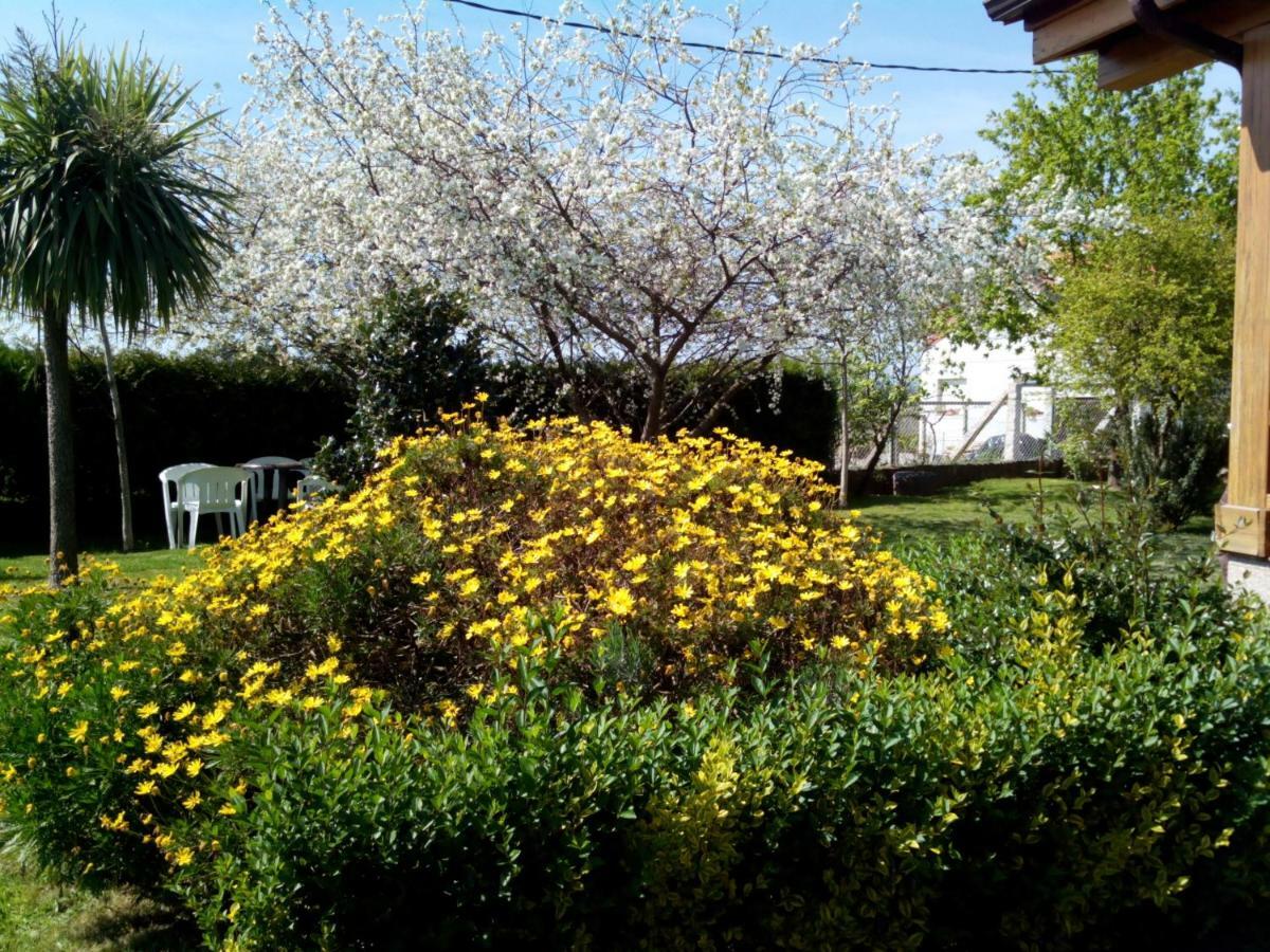 Vila Mi Cabana Ribadumia Exteriér fotografie